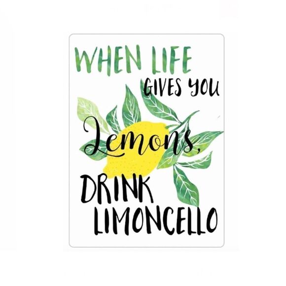“When Life Gives You Lemons 🍋, Drink Limoncello” Magnet - Picture 1 of 2
